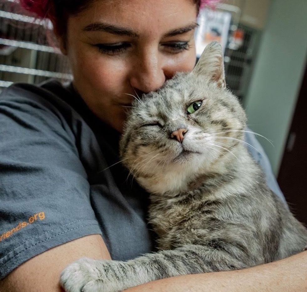Scruffy Street Cat Can T Stop Hugging Everyone He Meets After He Was Rescued Love Meow