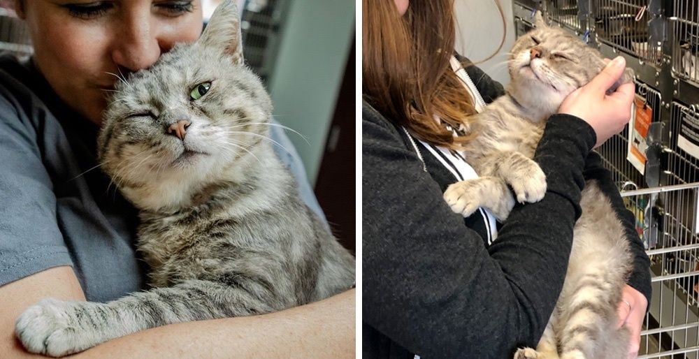 Scruffy Street Cat Can't Stop Hugging Everyone He Meets After He was