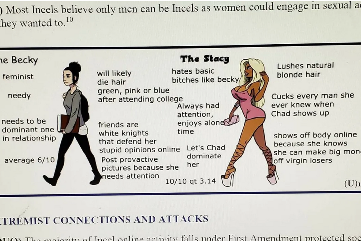Incels Are Mad Because Air Force Briefing Got Their Precious Memes Wrong