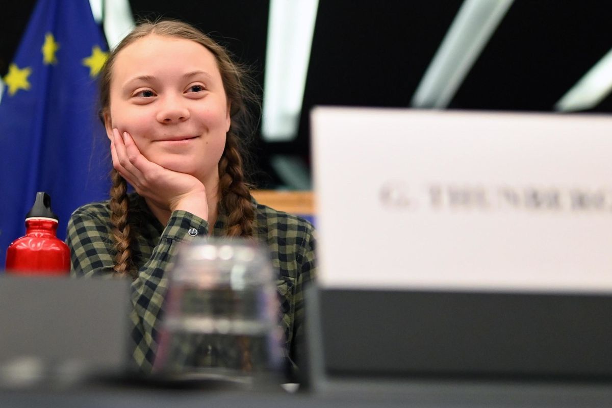 Il manifesto degli scienziati intelligenti contro i colleghi gretini