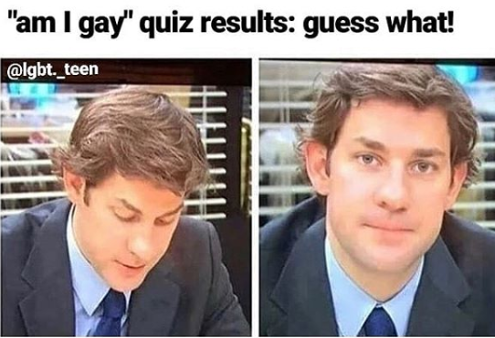 am i gay quiz meme
