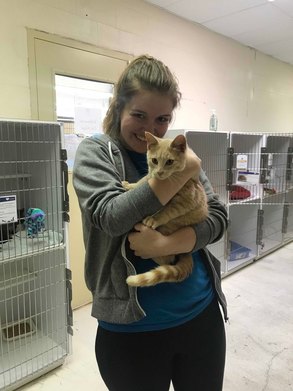 ​How Volunteering At An Animal Shelter Changed Me