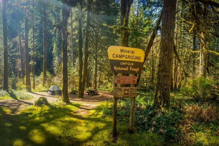 Oregon Camping Is Even Better At These Free Campgrounds 7x7 Bay Area