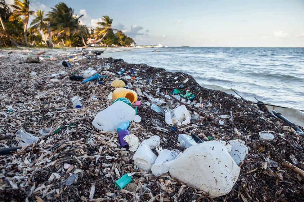 5 Easy Ways You Can Help Save The Planet