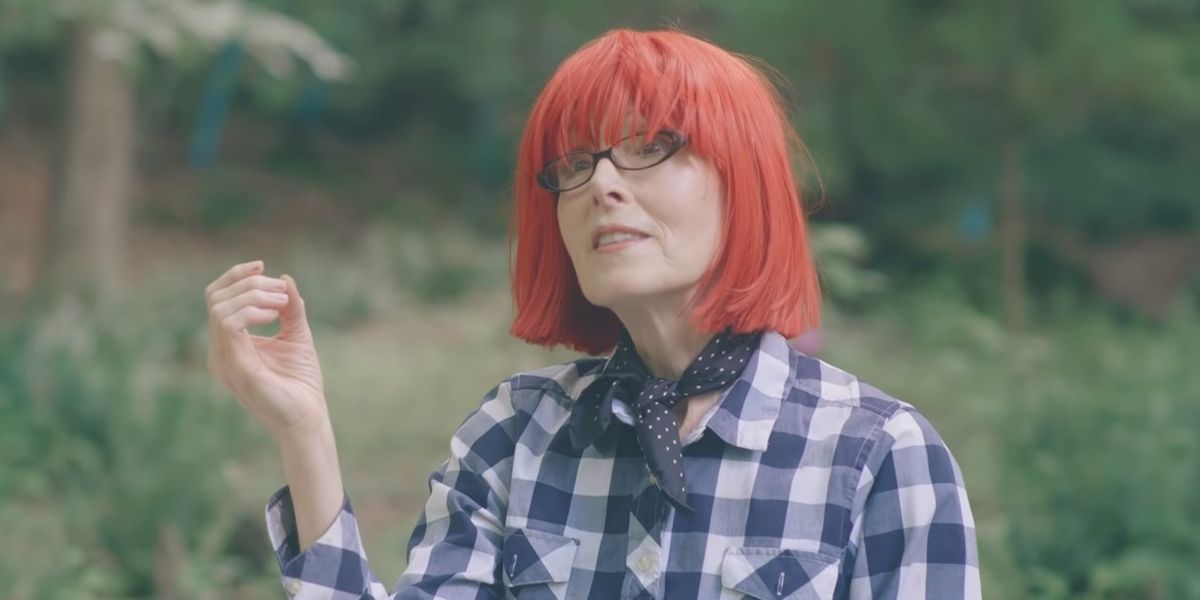 WATCH Bizarre set of interviews erode Trump accuser E. Jean Carroll's
