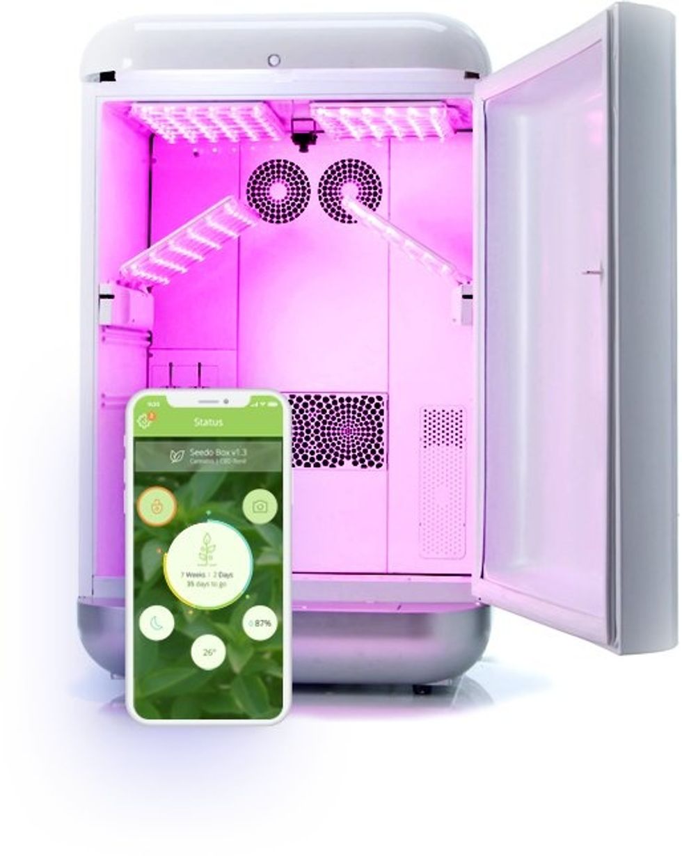 In pre-orders, Seedo, pictured here, ships with liquid nutrition, an air filter and carbon dioxide bottles