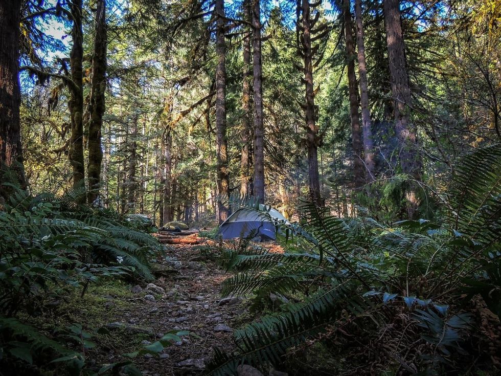 Oregon Camping Is Even Better At These Free Campgrounds 7x7 Bay Area