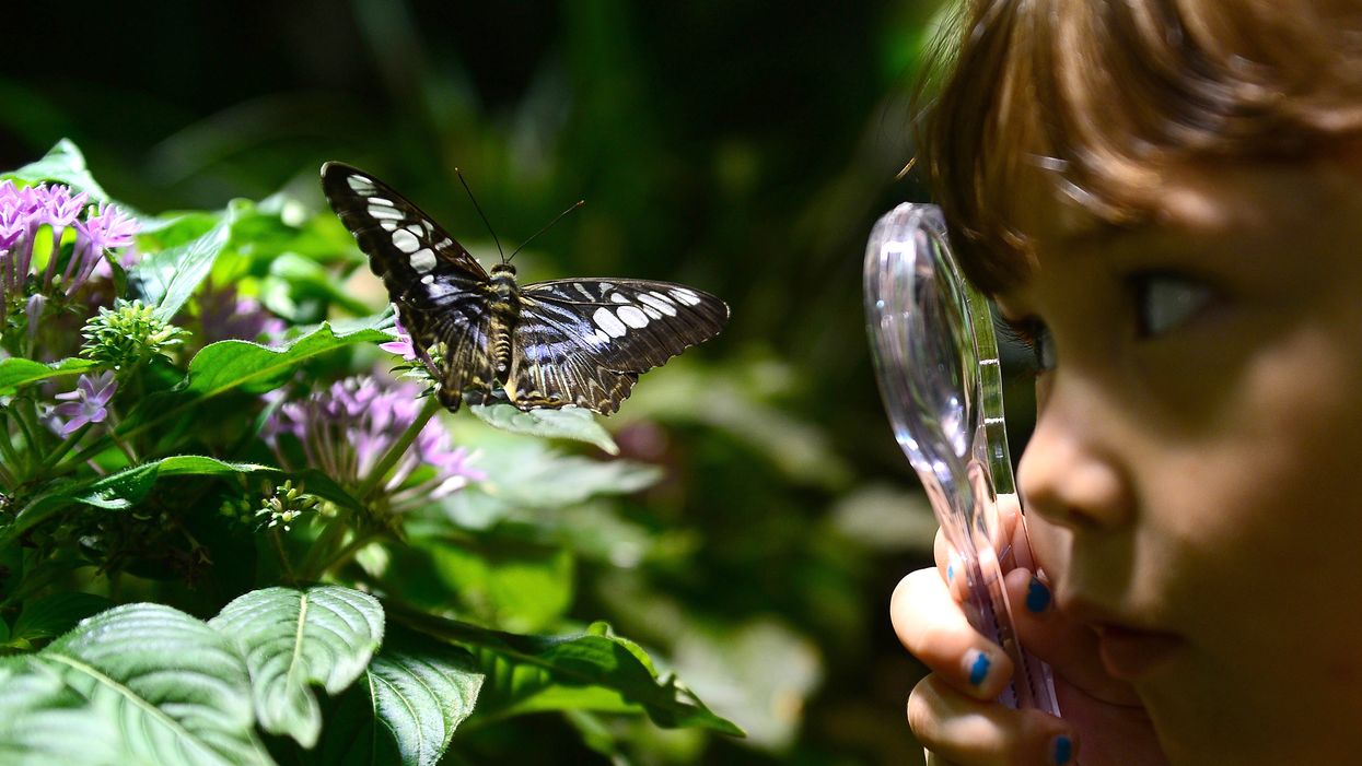 30 school field trips that Southerners still remember