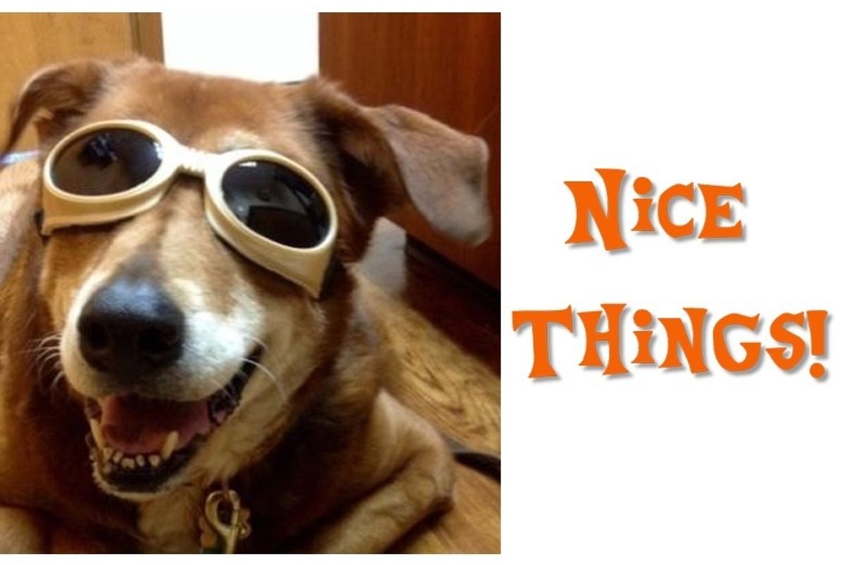 A Summery Summary Of Nice Things