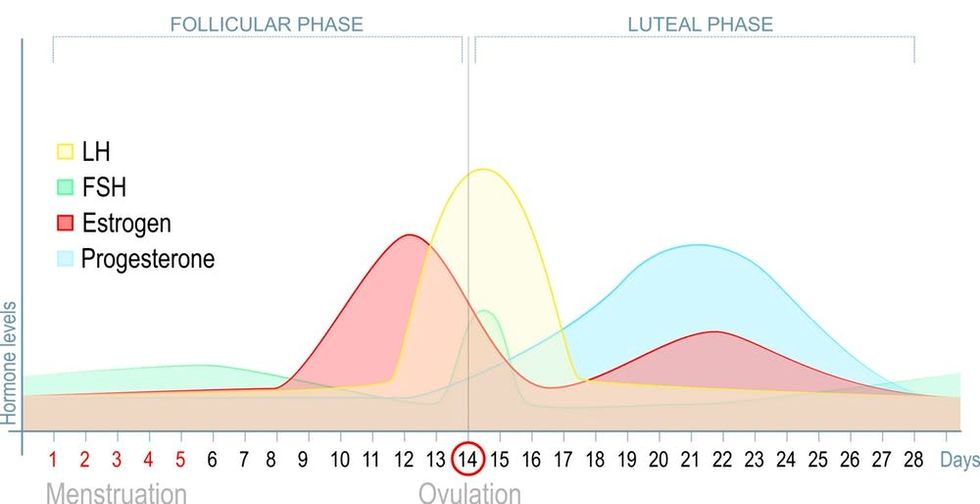 The science of period cravings - Upworthy