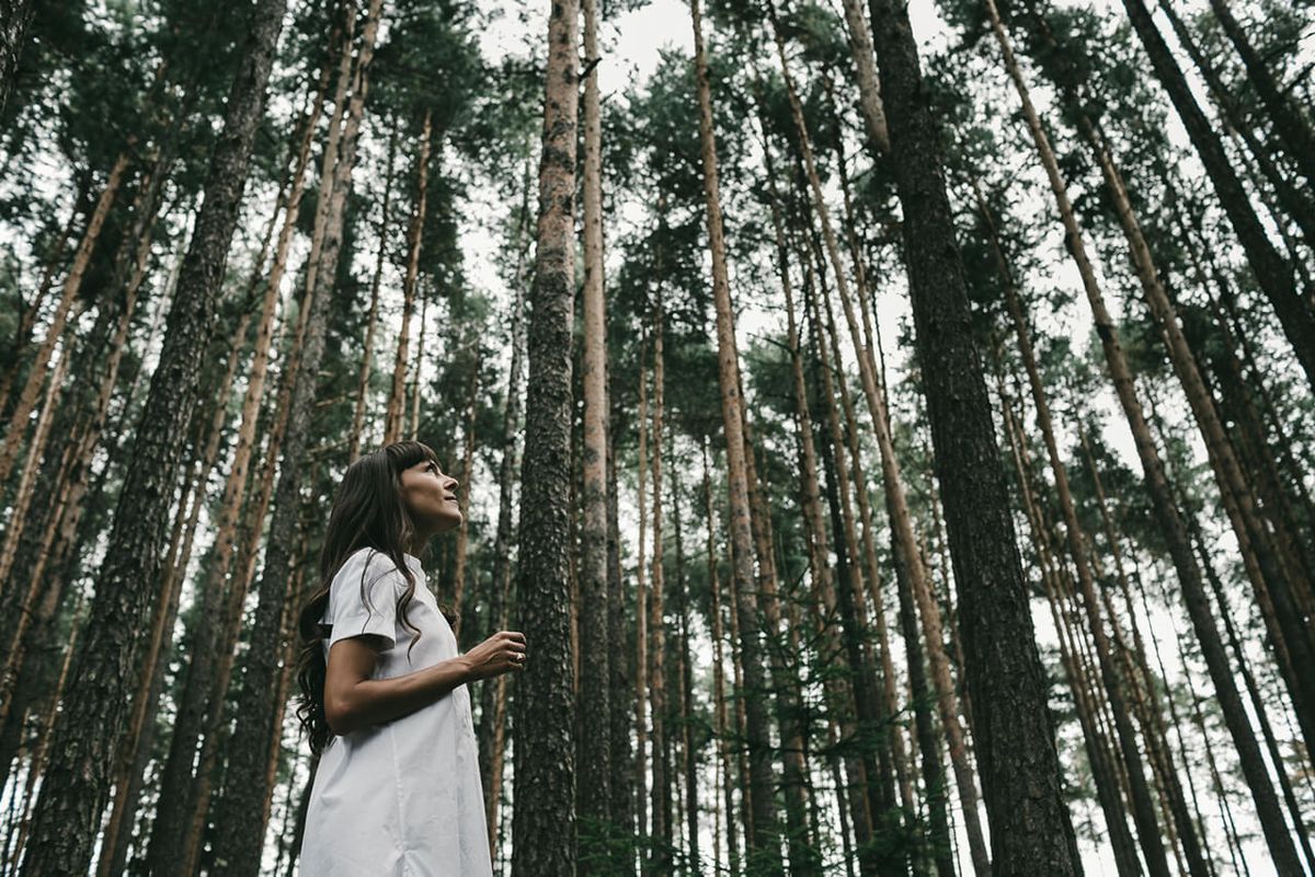 L'ultimo trend di viaggio è il «forest bathing». Un weekend a tu per tu con la natura