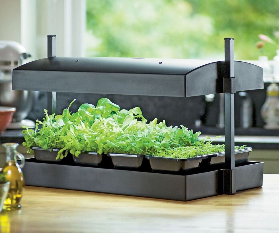 Best smart home indoor planters and irrigation systems - Gearbrain