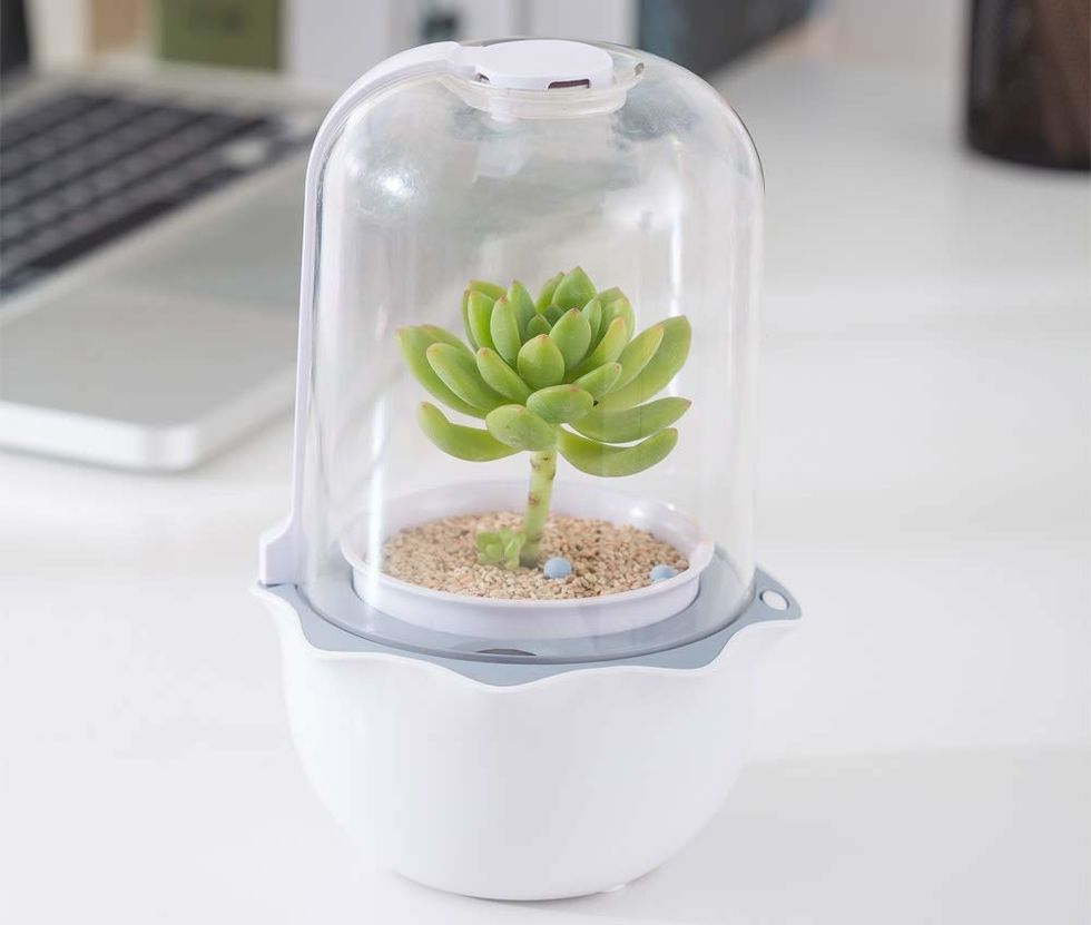 Photo of the Dragon-Lily Smart Succulents Planter