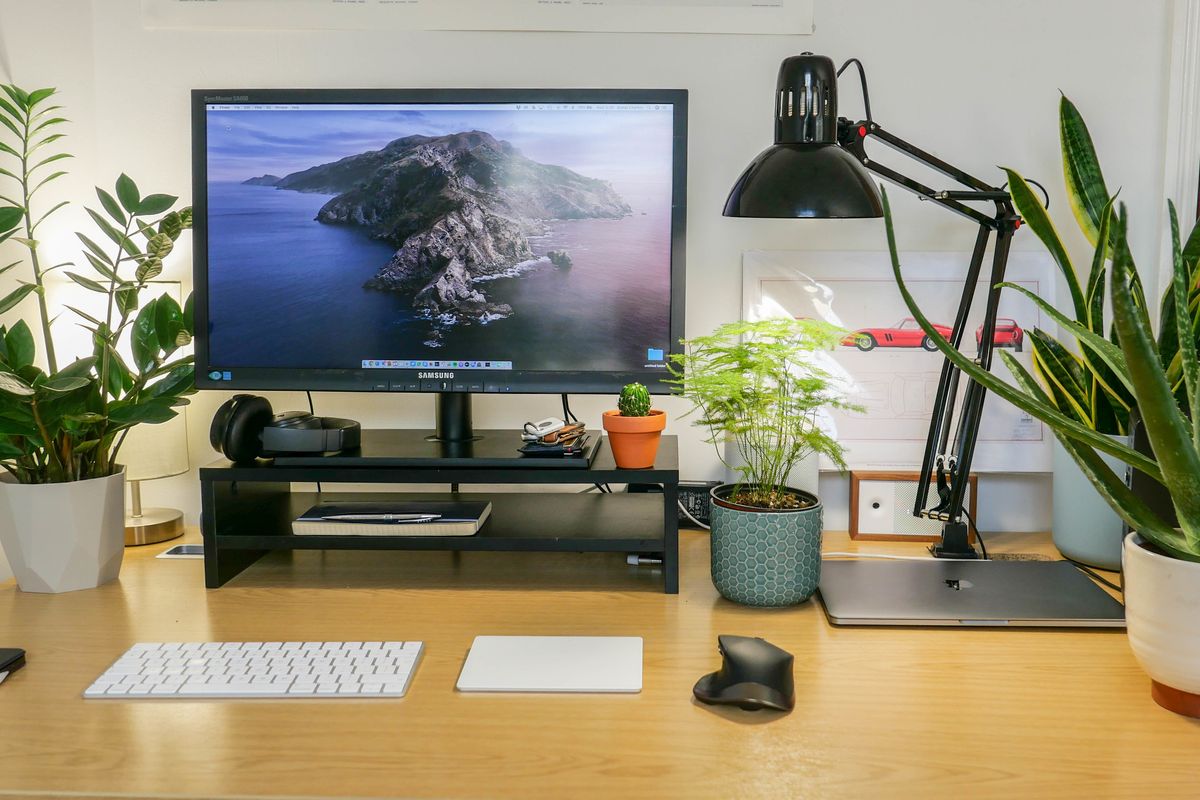 Do plants really clean your office air? How to take a smart home approach