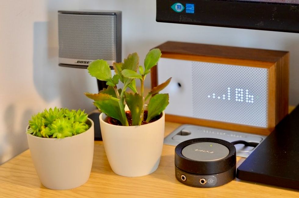 Photo of plants on an office desk