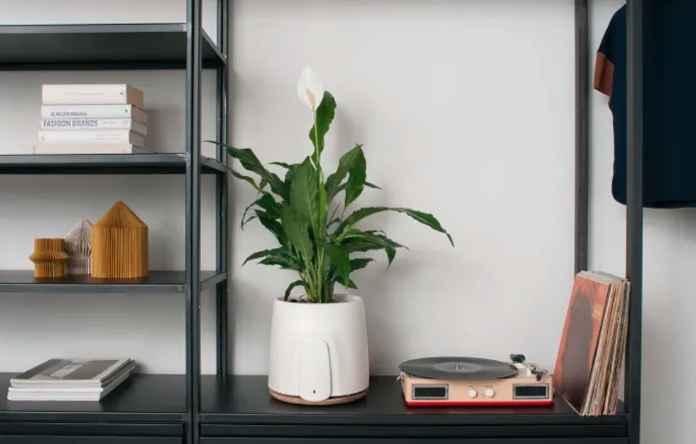 Photo of a Natede smart plant pot