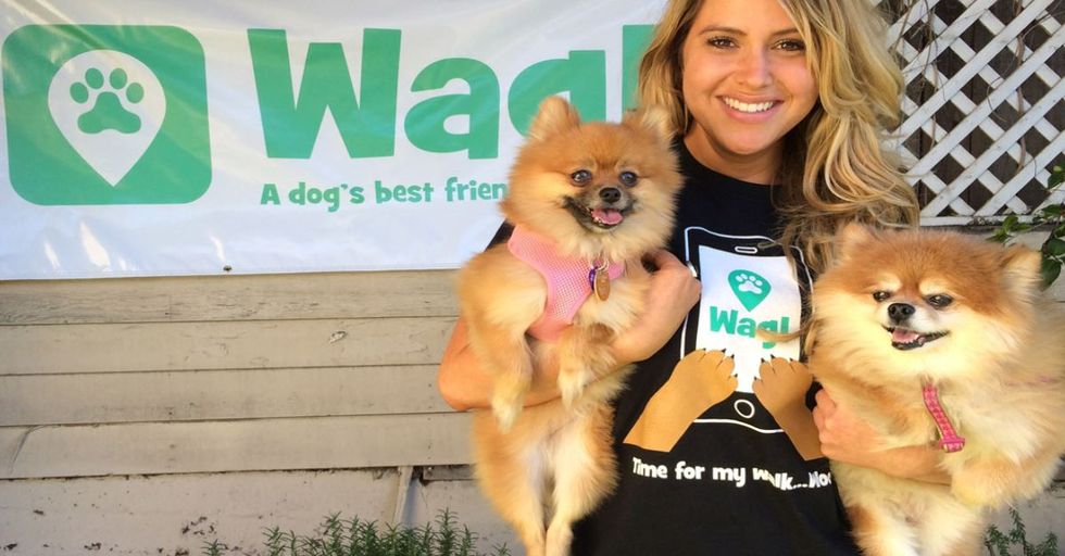 New “Uber for Dogs” Gives You Dog Walkers on Demand