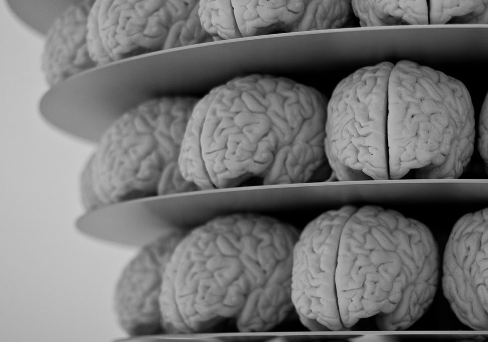 Scientists Grow 3D Mini-Brains to Learn About the Real Thing