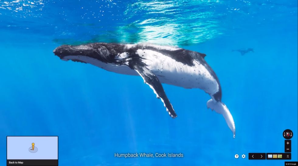 Submerge Yourself in Google’s Stunning Underwater Street Views