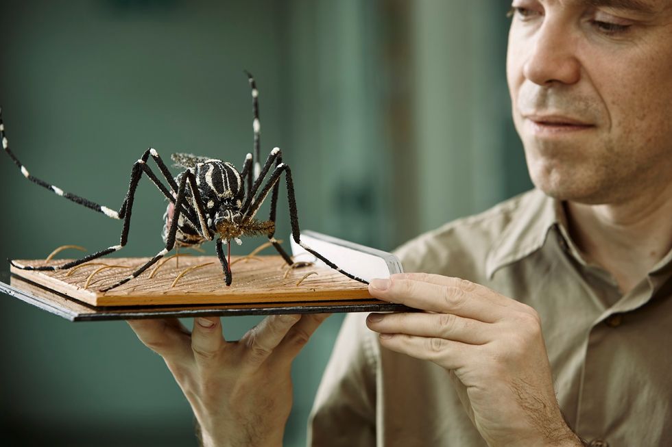 How Modified Mosquitos Could End a Deadly Global Outbreak