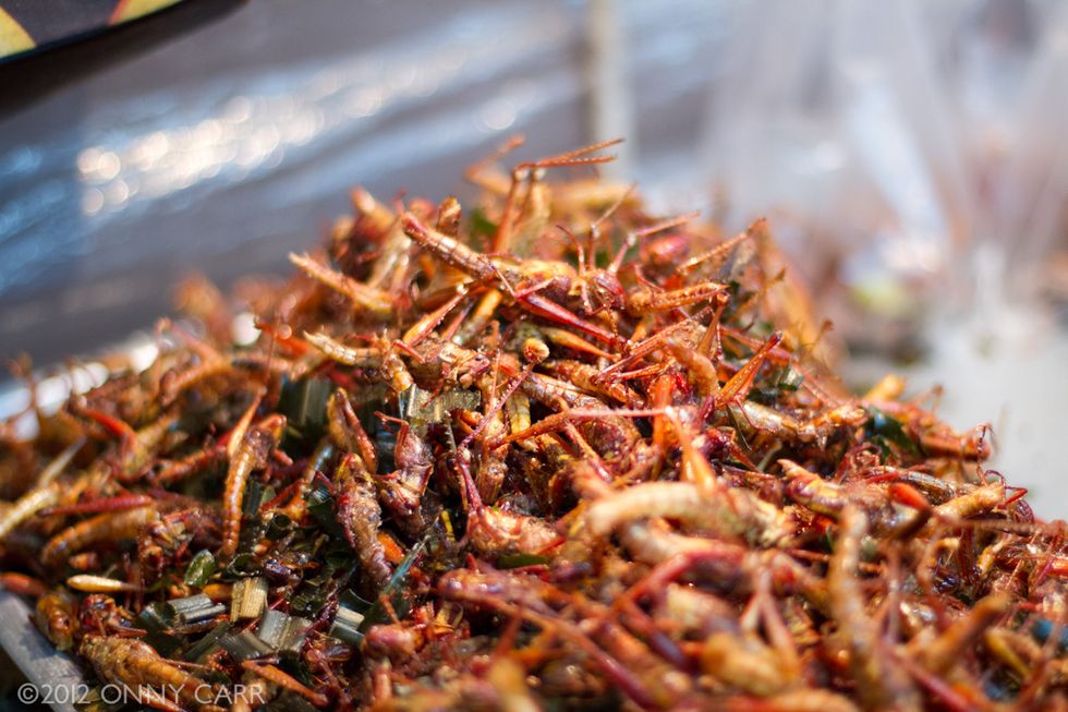 The Future of Nutrition is Vacuum-Sealed, Powdery, and Full of Insects