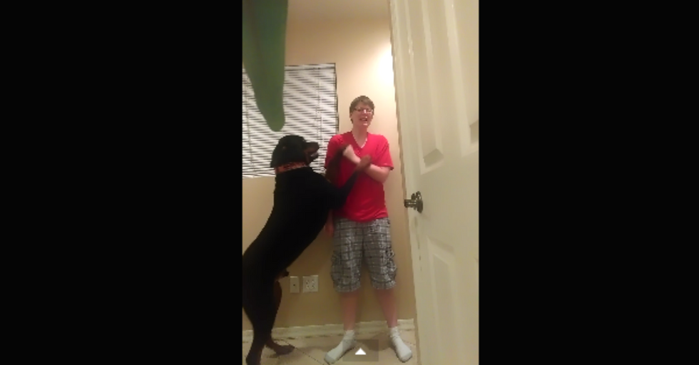 Incredible Service Dog Saves His Owner From Harming Herself