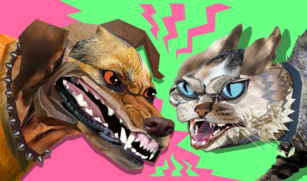 Cats and Dogs Are Not Equal