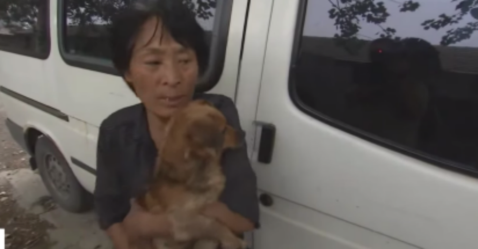 Woman Saves 100 Dogs From Being Eaten at Dog-Meat Festival