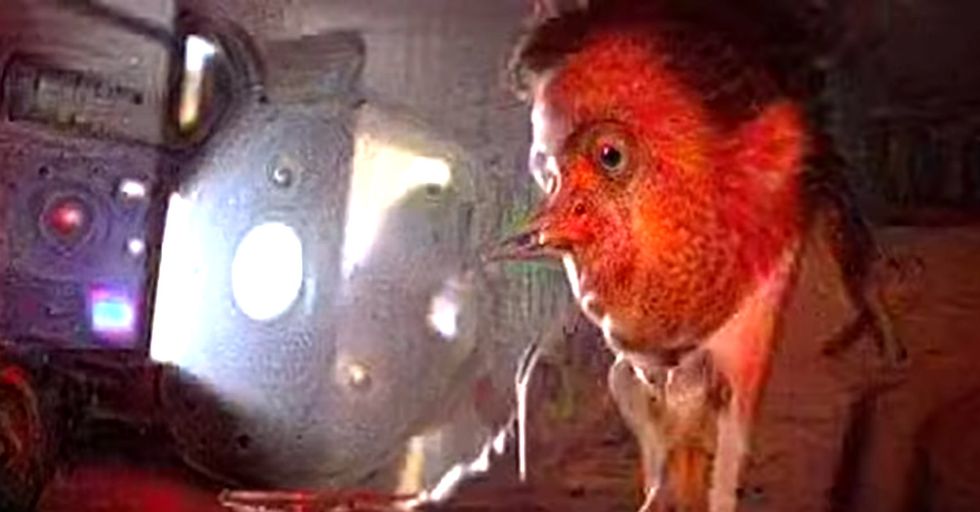 Fear And Loathing in Las Vegas + “Deep Dream” Code = Woah, Dude.