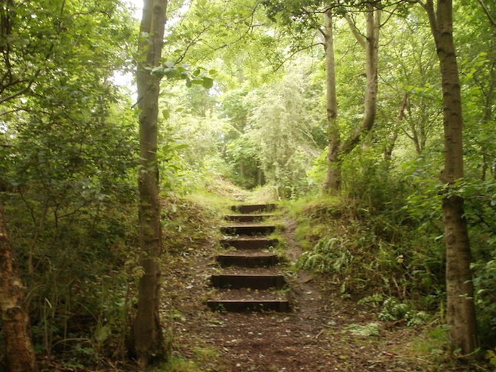 Scientists Discover That Nature Walks Are Great for Your Mental Health