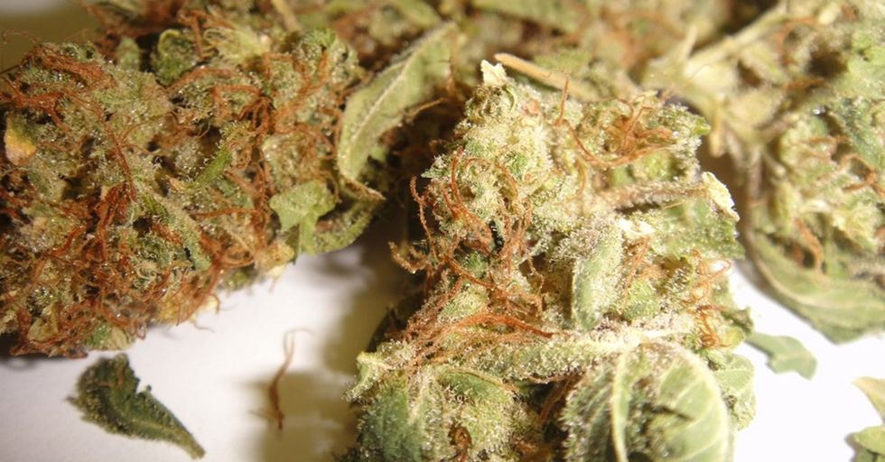 Wall Street Analyst Wants to Build Homes Out of Weed