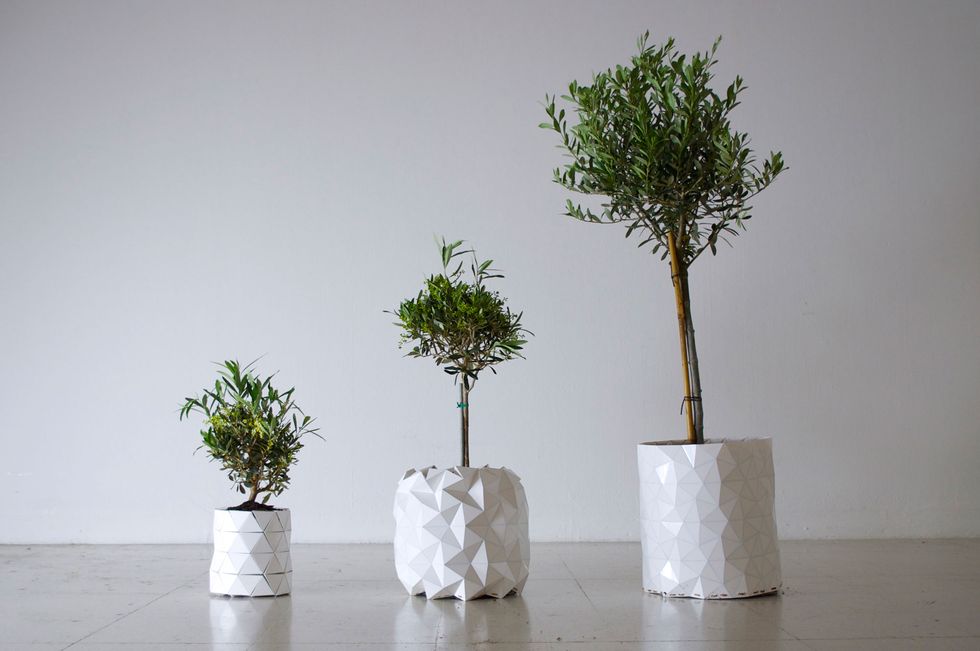Expandable “Origami” Pot Grows Along With Plants to Cut Waste