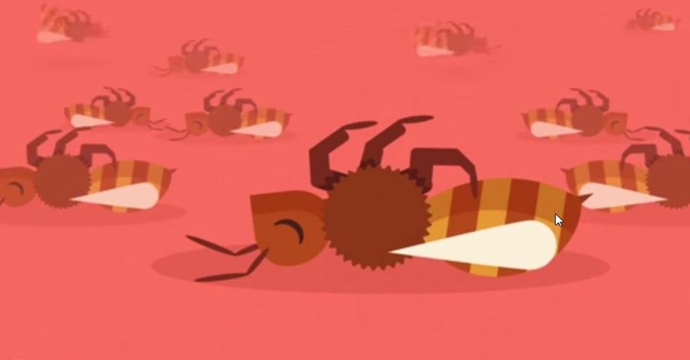 New Video Perfectly Illustrates Why Bees are Dying