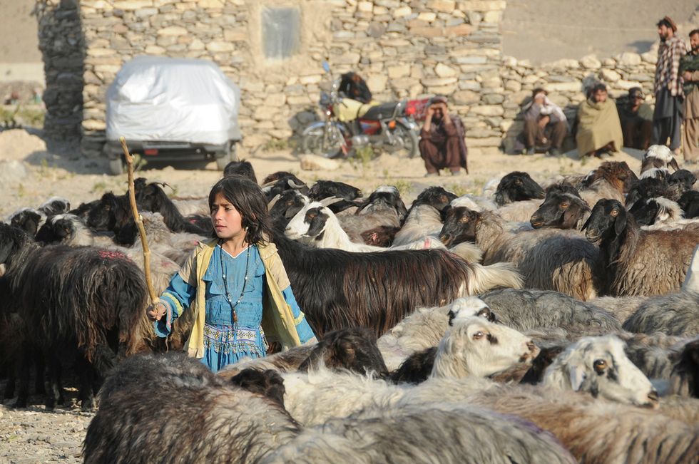 Why Mobile Technology Matters for the World’s Nomadic Peoples