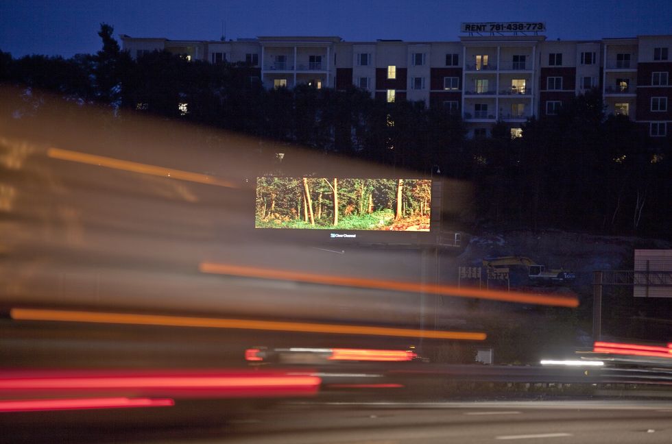 Artist Rents Billboards to Beautify Busy Commutes