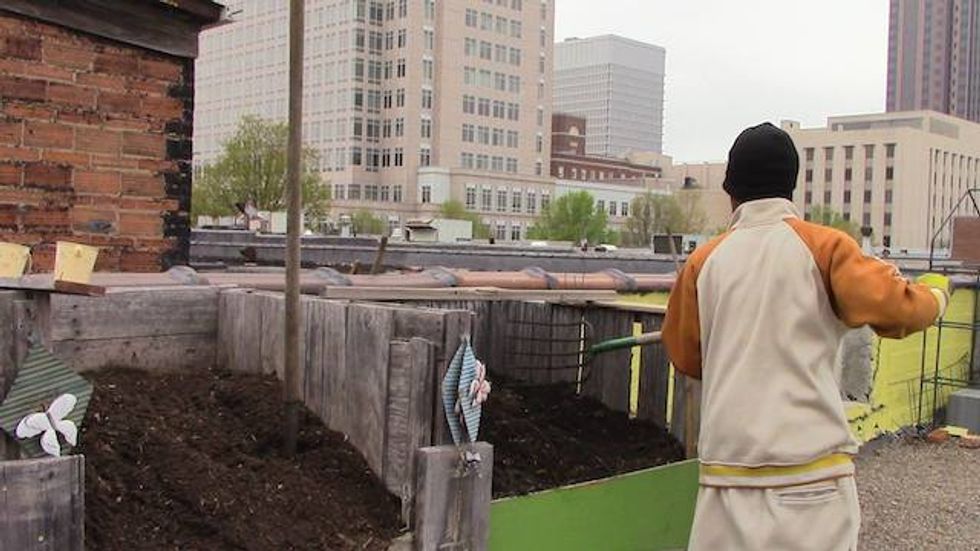 Homeless People Plant a Huge Organic Garden, and Feed an Entire Shelter