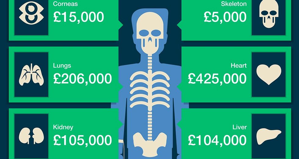 So Here’s Exactly How Much is Your Body Worth