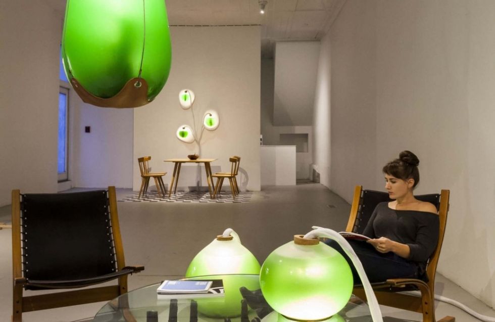 Could Algae Be the Future of Renewable Energy?