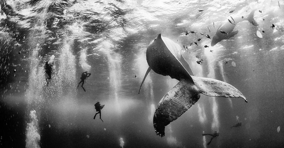10 Winning Photographs from the 2015 'National Geographic Traveler' Photo Contest