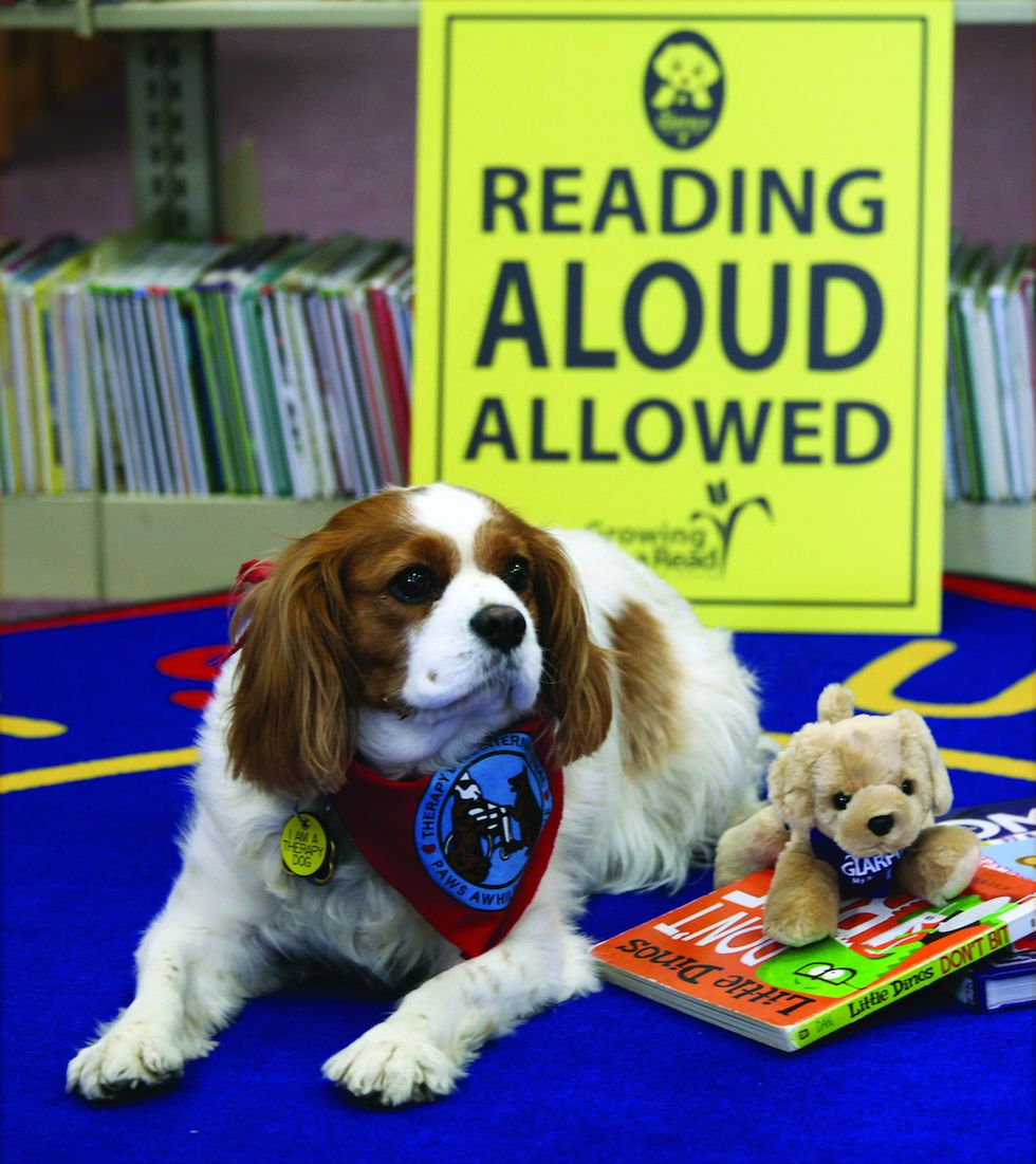 To Foster a Love of Reading, Bring an Animal to the Classroom