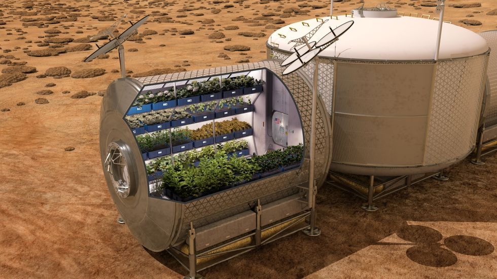 Astronauts Chow Down on the First Veggies Grown in Space