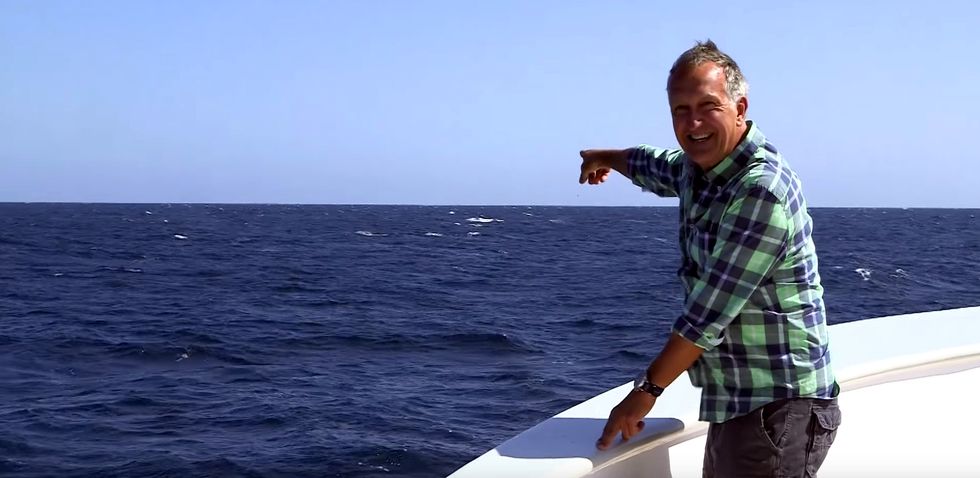 Blue Whale Has Perfect Comic Timing