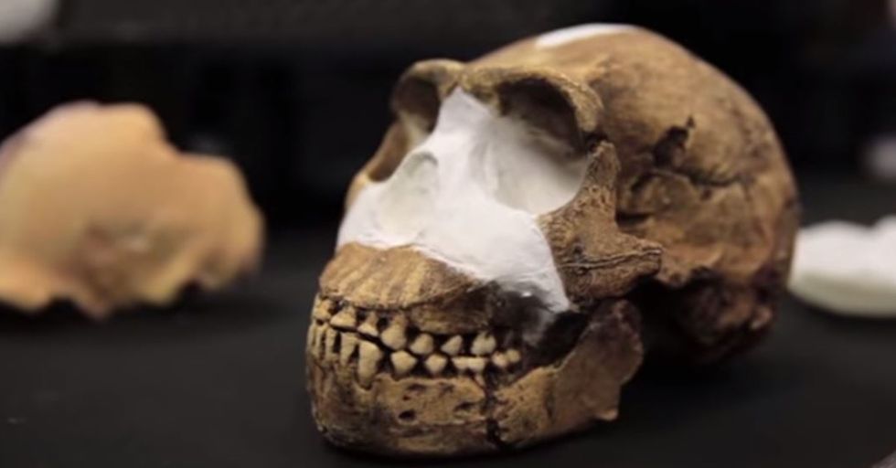 Scientists Discover a New Species of Human Ancestor in a South African Cave