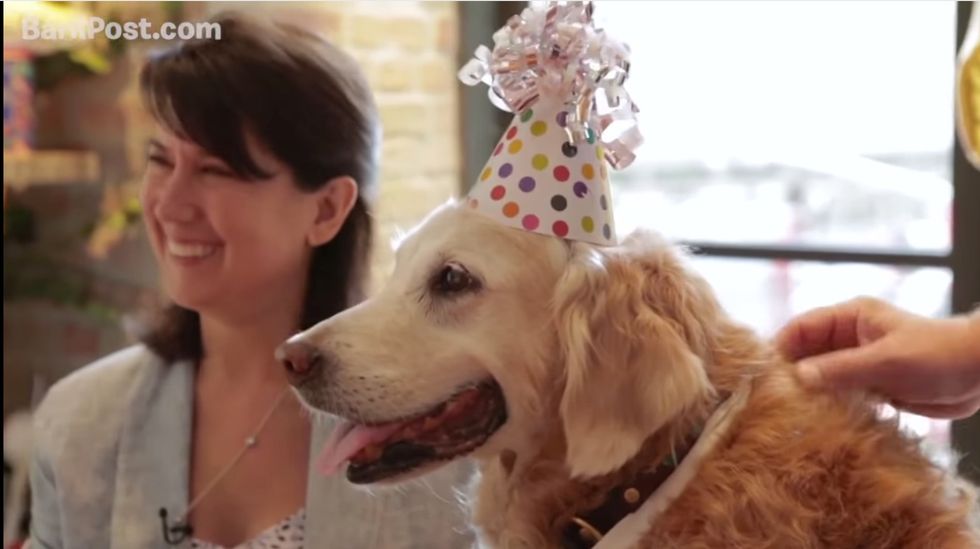 New York Turns Out to Celebrate the Last Living 9/11 Rescue Dog’s 16th Birthday