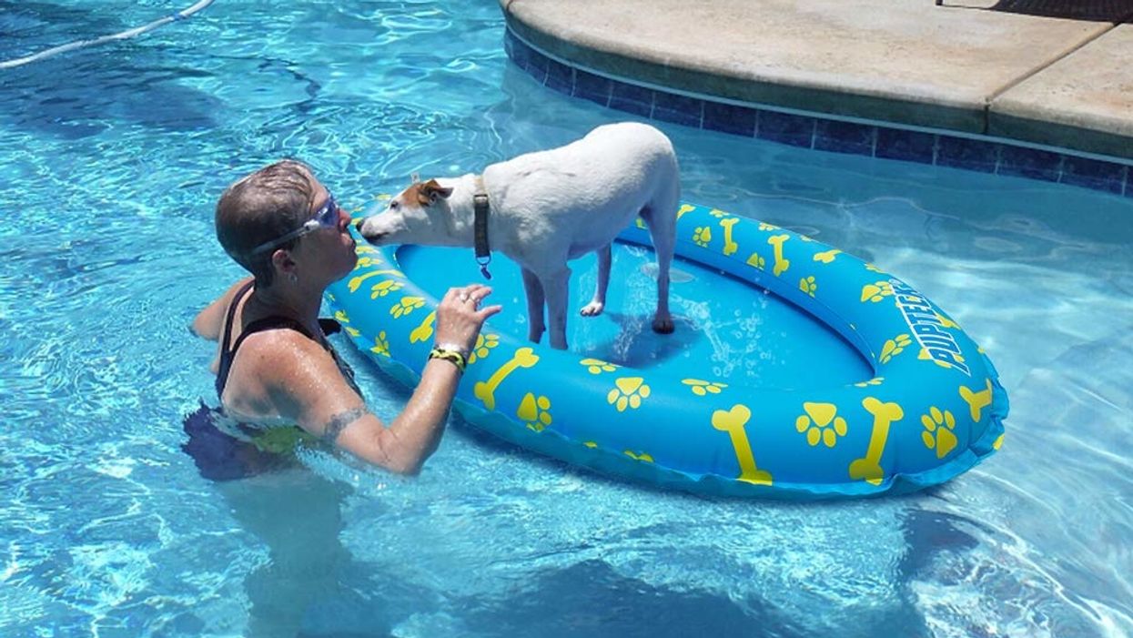 18 things that'll take your dog's summer to the next level