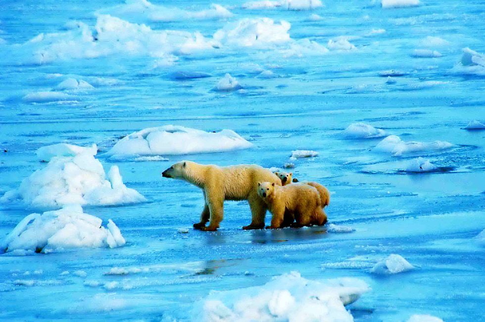 U.S. Government Moves to Limit Offshore Drilling in the Arctic