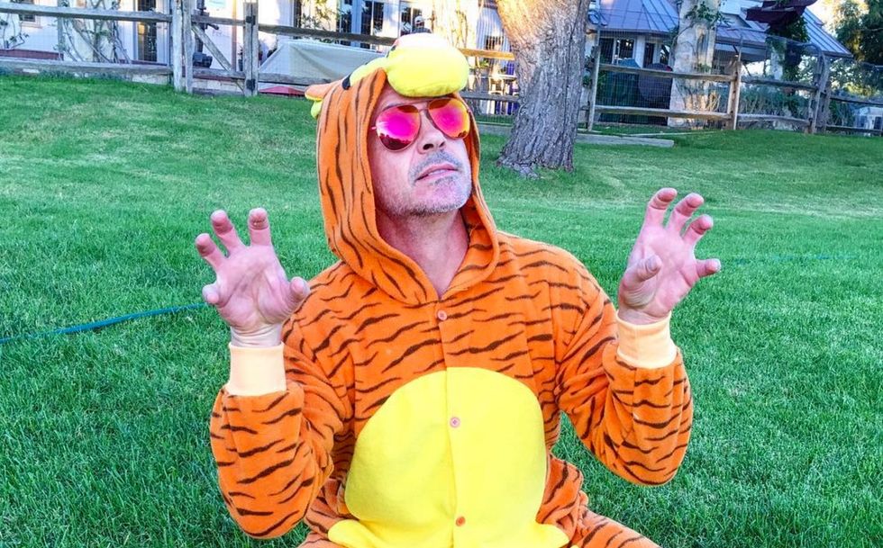 Robert Downey Jr. Dressed Like a Tiger to Invite a 7-Year-Old Cystic Fibrosis Patient to the Captain America: Civil War Premiere