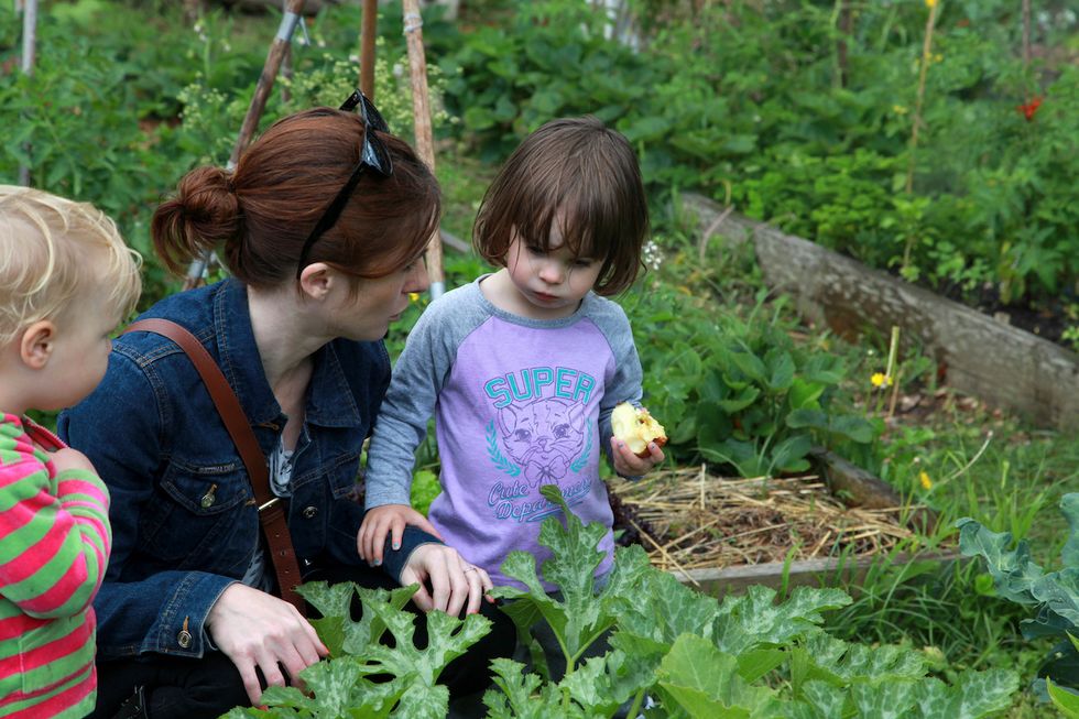 Community Gardens Can Improve Your Mental Health, Study Shows