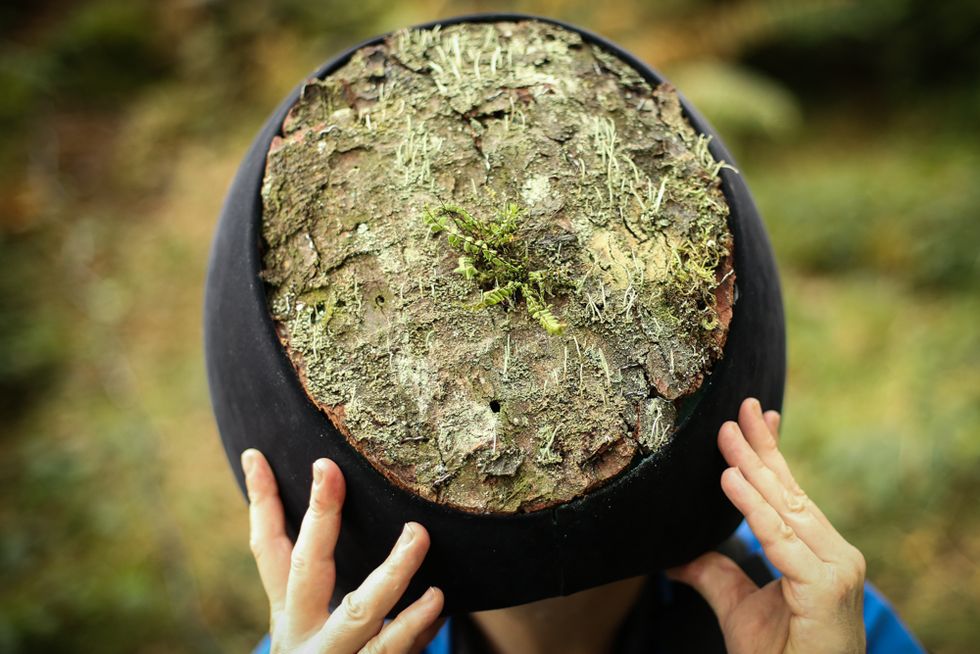 This Virtual Reality Experience Gives Users the Eyes of Animals