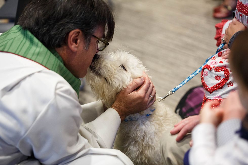 At the Blessing of the Pets